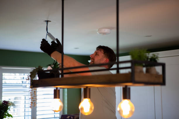 Best Licensed Electrician  in Lake Cassidy, WA
